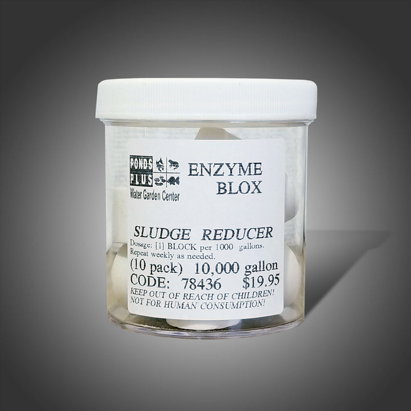 Bacteria Enzyme Blox