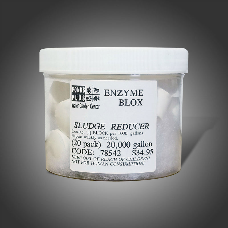 Bacteria Enzyme Blox